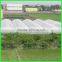 Suntex Large Size Agricultural Greenhouses Type anti insect netting plastic bird mesh