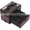 Pro 4 Wheels 2 in 1 Rolling Makeup Cosmetic Nail Case