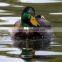 full boday plastic motorized duck decoy for hunter hunting wholesale