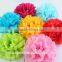Tissue Paper Pom Poms 10pcs/lot DIY 10"(25 CM) Decorative Flower paper Ball for Baby Shower Birthday Wedding Party Decorations