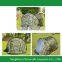 3-4 Person Pop Up Tent Large Instant Setup Camping Hiking Backpacking Shelter