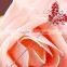 Lively Butterfly Design Fashionable Crystal Metal Pins Muslim Hijab Scarf Pins Women Popular Shawls Brooch Pins China Wholesale