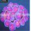 holiday wedding lights rose flower led string light                        
                                                Quality Choice