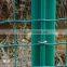 the Cheap Price Fence for Protective Tree Guard (15 Years Factory)