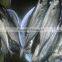 Frozen Horse Mackerel