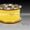 100m/roll 110V 220V SMD 5050 LED Strip Light+Power Plug,Warm white/White/RGB 60leds/m Waterproof IP67/68