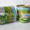 ISO HACCP certification canned green peas