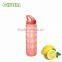 portable glass drink bottle with BPA free silicone sleeve and handle and straw