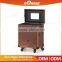 Professional Guangzhou Factory Wholesale Makeup Artist Trolley Beauty Box