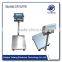Anti corrosion Bench Scale 100kg Weighing Scales Price 100kg 150kg 200kg electronic platform weighing scale with Silvery color