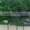 strong garden tomato trellis and climbing plant support cage