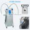 Lose Weight Best Selling Products CE Approved Fat Freezing Cryolipolysis Machine Weight Loss