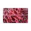 BRIGHT RED COLOUR INDIAN CHILLIES