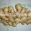 Chinese fresh air dried ginger