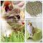 No-toxic Bulk Bentonite Cat Litter Wholesale for Pets clean & Grooming Usages