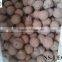 Hot Sale 9-16mm LECA/Expanded Clay Balls for Hydroponics, Aquaponic