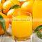 New generation Heavy duty commercial and household manual juicer,juicer press ,more higher juice yield