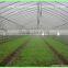 Fog Irrigation System for Greenhouse