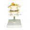 Human Body Anatomy Spine Model Lumbar Vertebra