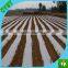 Henna Factory Supply Black Plastic LDPE Mulch Film Mulching Film for Agriculture