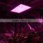 300w/600w/1000w Double Chips LED Grow Light Full Specturm for Greenhouse and Indoor Plant Flowering Growing (5w Leds)