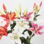 fabric canton fair purchasing not cheap decorative flowers artificial silk lily flower