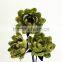 Water Lily Corn Leaf Hand made Flower