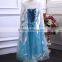 party frozen princess elsa dress/costume wholesale
