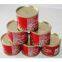 Canned Tomato Paste, Ketchup, Tomato Sauce