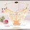 Ladies Bikini Style Panties Various Styles Sexy Transparent Ladies Underwear Panties