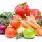 SHIPULE Commercial or domestic juicer ice crusher machine Blender