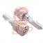 BJAP Injector Nozzle DSLA143P1523/0433175450 on injector 0445120060 for C ummins ISDE Engine