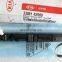 Common Rail Injector EJBR03001D