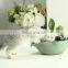 Automatic Cyclic Water Fountain Ceramic Frog-shaped Pet Bowl Dog Feeder Cat Bowl Neck Protection