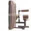 Dhz Fitness Body Exercise Training Abdominal Isolator Machine