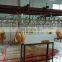 mini poultry slaughter equipment/duck slaughter machine halal chicken slaughter machine for sale