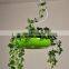 Modern plant chandelier and simple save energy lamp & coffee plants creative lighting