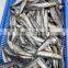 Wholesale IQF whole round sardine fish for bait