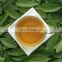 Factory Supply Wholesale Private Label Bulk Organic Yerba Mate Extract Powder