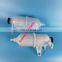 Hilux Radiator Spare Tank Coolant Reservoir Tank Diesel for Toyota Vigo Revo Rocco Innova Fortuner 2005 2016 2020-
