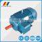 YEJ series asynchronous magnetic Braking induction motor