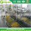Small scale canned mandarin orange processing plant