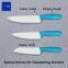 cook chef knife catering hospitality supplies kitchen knives foodservice utensils produced by BOLEX CUTLERY China