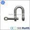 304 Stainless Steel D Shackle With Various Sizes
