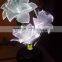 LED Fiber Optic Flower Light for home decoration