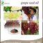 best selling products: Pure Grape Seed Oil Low Price Refined base oil for health product