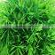 Hot Sale 2015 New Arrival Beautiful Aquarium Plastic Green Seaweed Moss Ball Decoration For Fish Tank
