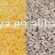 Instant rice/ Artificial Rice Production Line/Nutritional Rice Machine