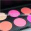 Professional your own brand makeup mineral cosmetic makeup brush blusher palette