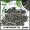 Good Reputation High Quality Alibaba Suppliers cheap green tea/green tea producers